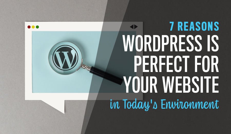 7 Reasons WordPress is Perfect for Your Website in Today's Environment