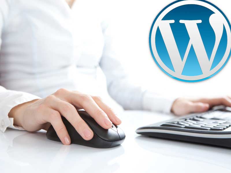 5 Reasons to the Switch to WordPress Web Design