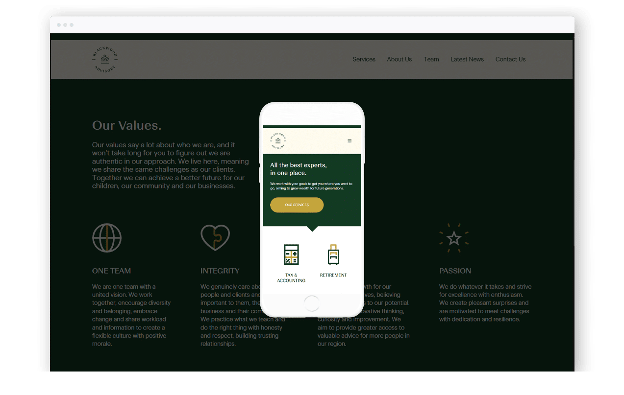 Financial Advice Services Business Website Design