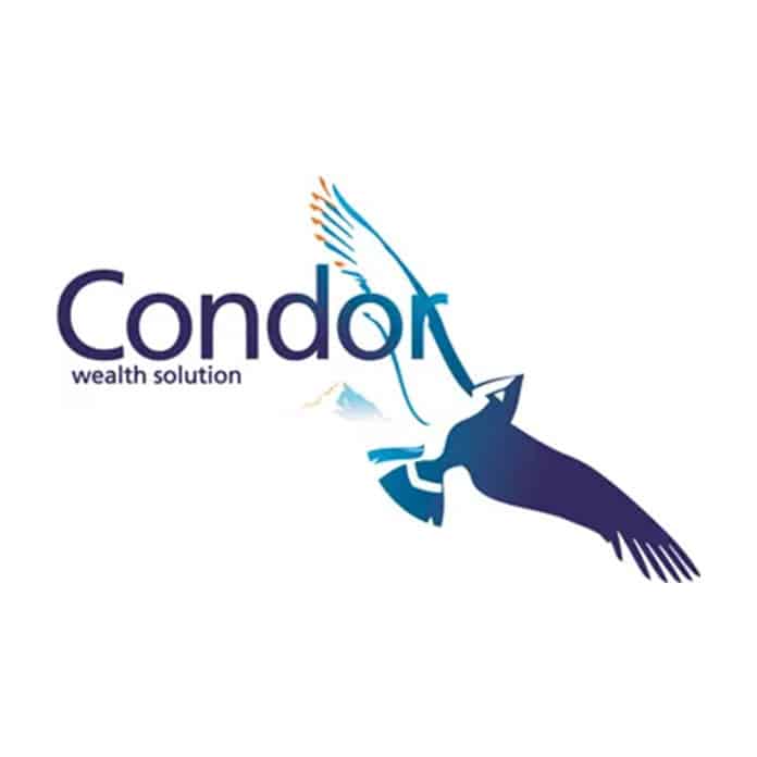 Condor Wealth Solution