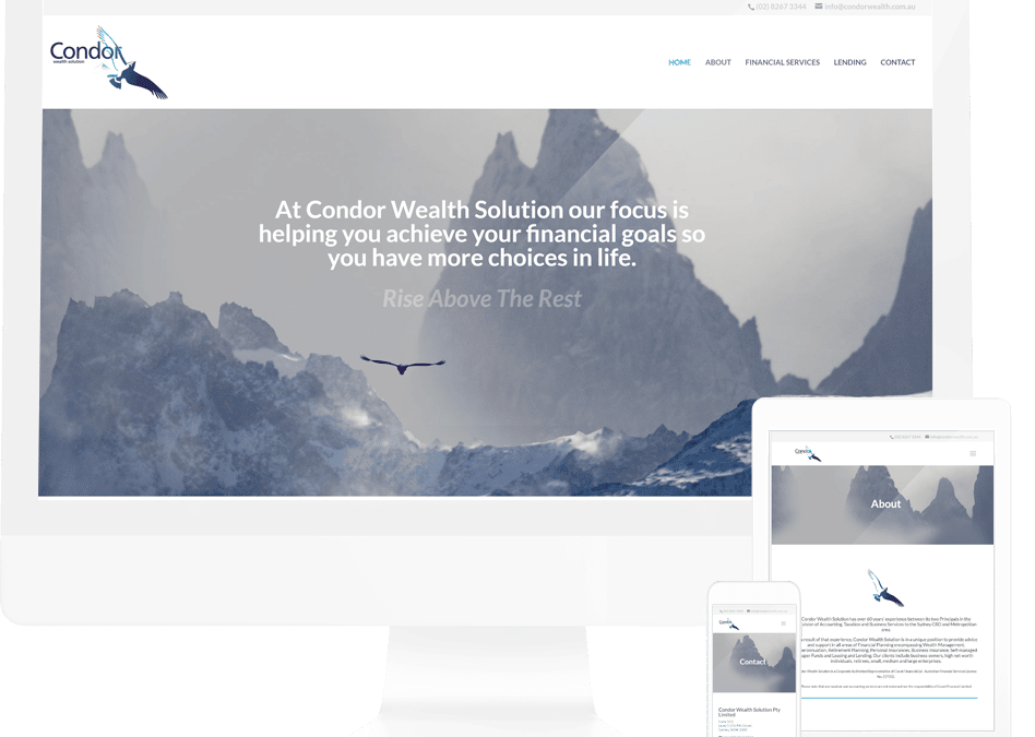 Condor Wealth Solution