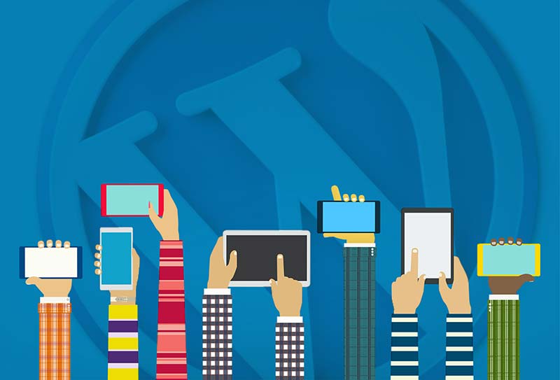6 Reasons Why You Should Use WordPress for eCommerce